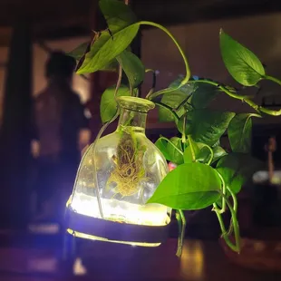 Patron bottle used as lighting