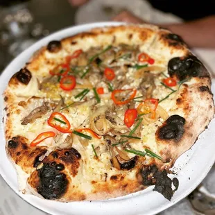 Funghi Pizza with oyster mushroom, creme fraiche, fresno - 8.2/10
