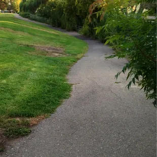 Short paved trail