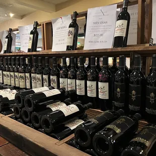 rows of wine bottles