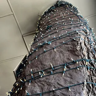 interior, burritos and wraps