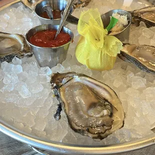 Gulf Coast Raw Oysters