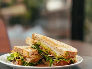 Blind Tiger Coffee Roasters - Westchase - Coffee Shop