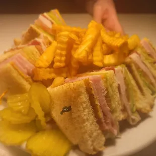 a plate of sandwiches and french fries