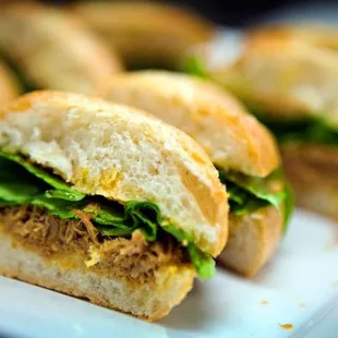 Pulled Pork on a Hoagie Roll
