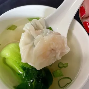 Wonton Soup