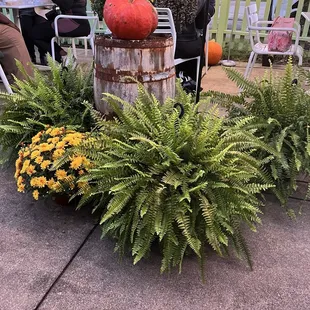 Welcoming display on patio