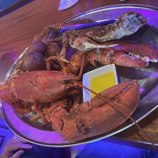 Hubby's 3 3/4 Lobster