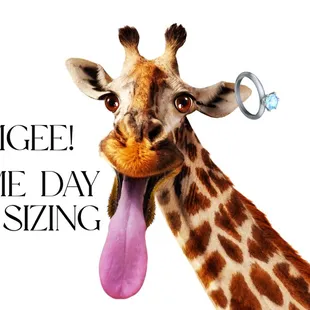 Yes, Journey Jewelers offers same day ring resizing.