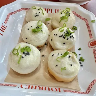 Pan Fried Pork Buns