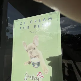 Ice Cream Pet Apple &amp; Cheese?