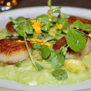 For Main Plates we had the Diver Scallop Prima Vera made with Sweet Pea Risotto, Spring Vegetables, Pea Tendrils, &amp; Tarragon.