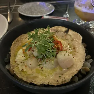 SCALLOPS PF