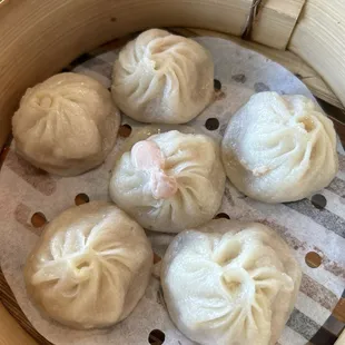 Pork Xlb
