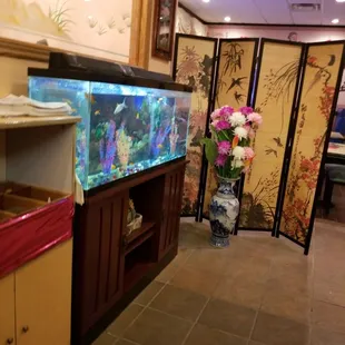 a fish tank in a restaurant