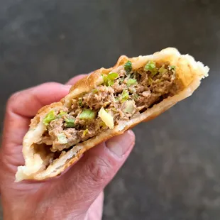 Juicy beef dumpling with scallions