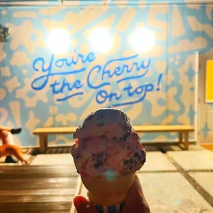 Chocolate Cherry Ice Cream