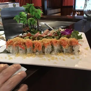 sushi, food, sashimi, sushi and sashimi