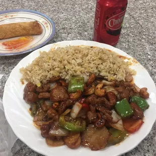 Cashew chicken with egg roll