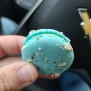 a hand holding a blue macaron
