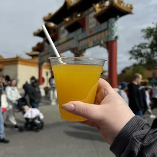 Kung Fu Punch ($13.75)