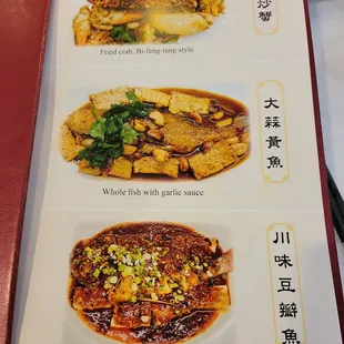 Menu with color pictures