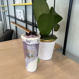 Blueberry Yogurt Smoothie - Seasonal specialty