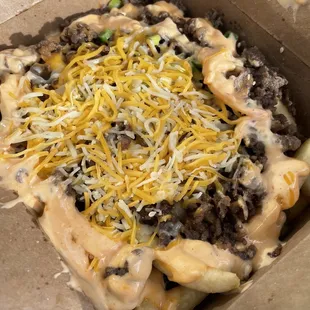 Bulgogi fries