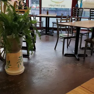 Interior with lot of plants!
