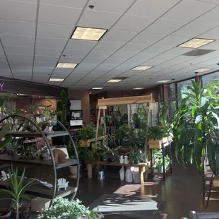 And a little plant shop!