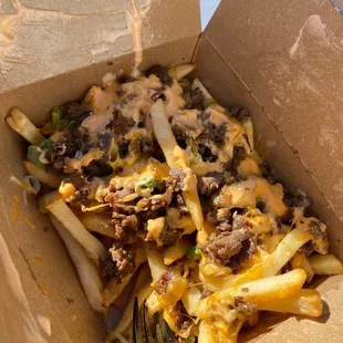 Bulgogi fries