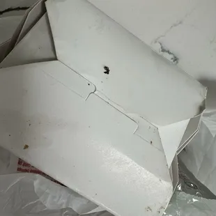 Dead fly smeared on to-go container.