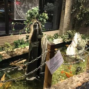 Fountain with beautiful koi fish.