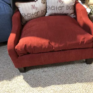 Every shelter dog deserves a fancy bed!