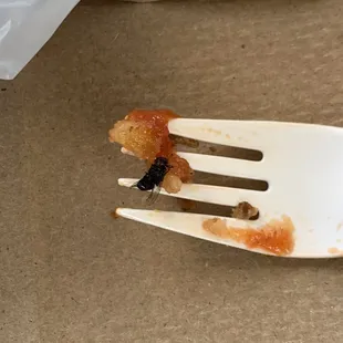 This is disgusting joys on southern ave, when I called him he act like he didn't understand