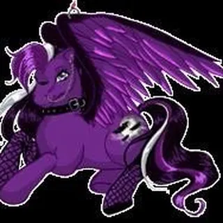 Raven B.