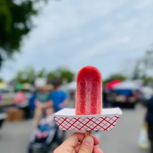 Joysicles Gourmet Pops