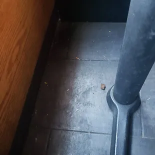 Food under the table