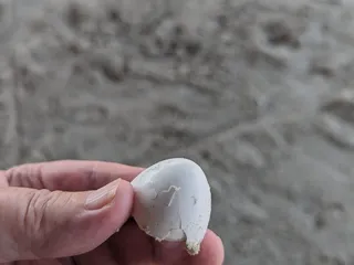 City of Port Aransas