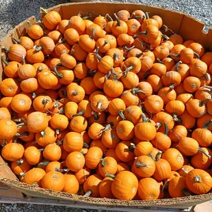 JP’s Farmers Market