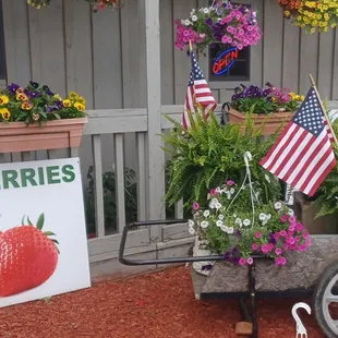 strawberries in a wheelbarrow