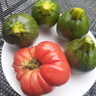 Zucchini balls. Use for stuffing/ baking recipes.