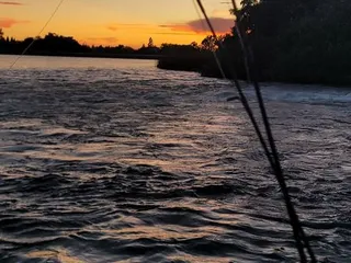 Halsey Forebay Picnic Area