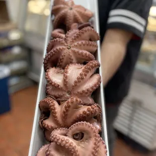 Cooked Mexican Octopus