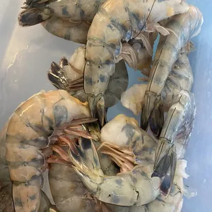 large shrimps
