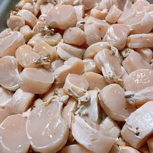 Scallops