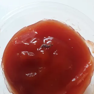 A bug in our sauce