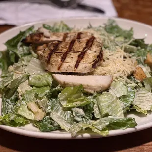 Entree Caesar Salad - Large + Chicken $14.00