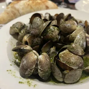 Manila Clams