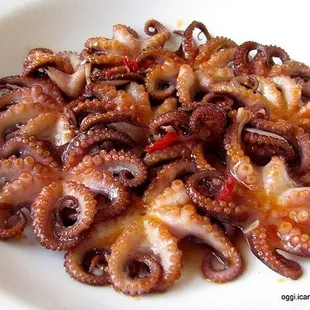 Frozen Baby Octopus sell by 2lb bag